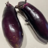夏野菜!