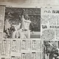 日本ハム　楽天に勝つ　４連敗免れる