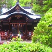 京都写ん歩　うさぎの神社