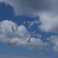 そうだ、北海道へ行こう！