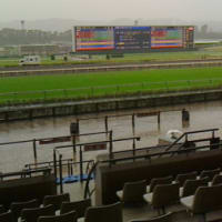 雨の競馬はほどほどに～