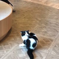 世界に無頓着・無関心は世界を救う⁉️