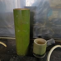 ケンカしたの
