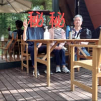 作業報告No.1034 :1114週目(2025.07.13)