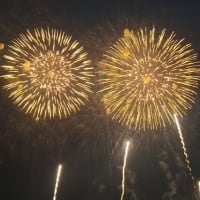 茅ケ崎サザン芸術花火2025