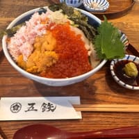 漁港で海鮮丼 in 五鉄