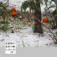 ★１３　舞台俳優の凸ちゃん