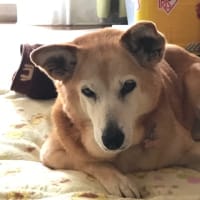 できるかな？