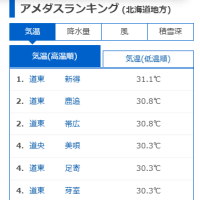 雪が恋しい道産子（笑）