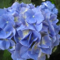 gooブログでの更新、最後まで頑張ります