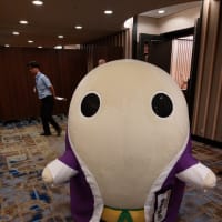 今年は、ご縁がありません。　　～　松田聖子