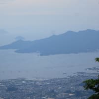 2025.6.26.　 2025年6月5回目極楽寺・極楽寺山・屋代コーストレッキングと蛇の池は満開のスイレン