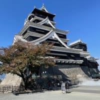 2025年6月議会一般質問報告・・・熊本城の景観がビルに埋もれる「現庁舎跡地の開発」