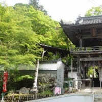 佐用町「光明寺」こいのぼり と 五月人形を見てきました