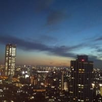 トワイライト☆新宿の街、ヽ(^o^)丿