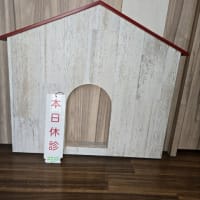 今日いち-2025年6月30日