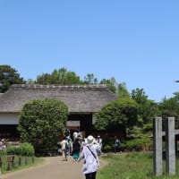 GWの昭和記念公園