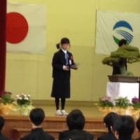 苦手な春の風