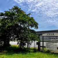 辰巳散策〜辰巳の森海浜公園