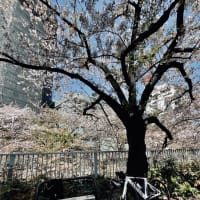 引っ越したがよ。