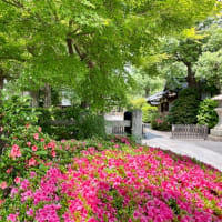 木嶋坐天照御魂神社（蚕ノ社）
