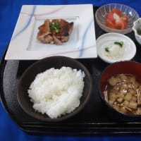 本日のメニュー