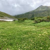 大雪山赤岳〜黒岳縦走　2025/7/10その2
