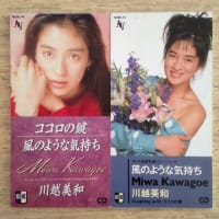 雨都物語〜RAINY TOWN STORY〜」 川越美和 1990年 - 失われたメディア-8cmCDシングルの世界-