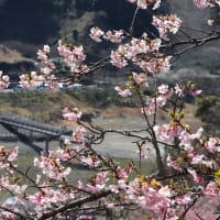 南房総に行ってきました。