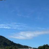 願い