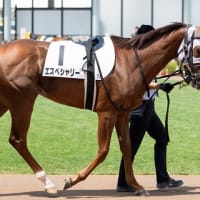 【エスペシャリー】狙いは札幌開幕週のキレイな馬場