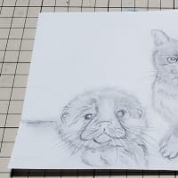 れいにゃん堂　れいちゃん&たのチャン　チョークアート紹介