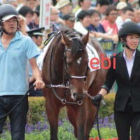 アメージングムーン　続き！