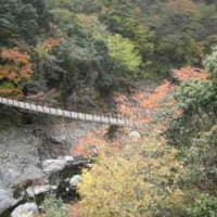 熊本の秋。
