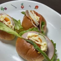 今日でブログは終了にします