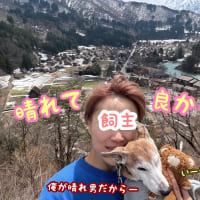 旅犬in波乱の！？長野・岐阜の旅編③