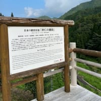 棚田