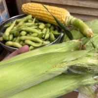 工作した作品と、野菜いっぱい〜！のブログ。