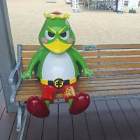 道の駅「伊豆ゲートウェイ函南」(静岡県)