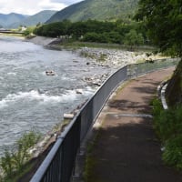 飛騨川河川公園を歩く