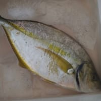 釣果
