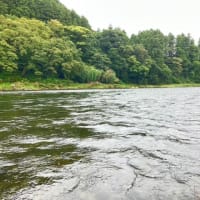 2024年10月5日　17釣り目　那珂川＆荒川