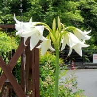 今年もこんにちは✨😃❗