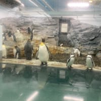 年齢を重ねる孤独感