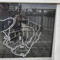 新緑の大阪街中「淀川・大川（毛馬閘門）界隈」へ探訪ウォーク出掛ける・・・