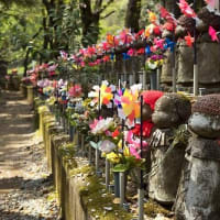 脳神経外科医が語った「臨死体験」のすべて 【死後の世界の真実】