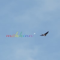 つばめ
