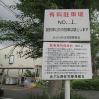 6/12-13　クリーニング　　定例役員会