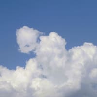今日の空・・・
