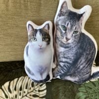 初めての月命日